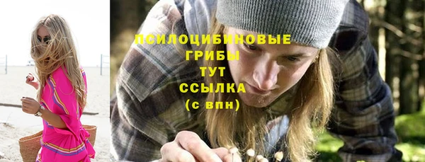 ешки Алексин