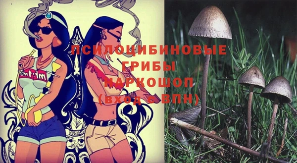 сатива Алексеевка
