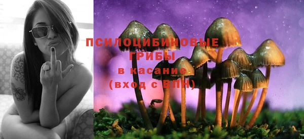 ешки Алексин