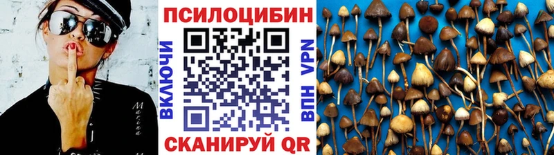 Псилоцибиновые грибы Cubensis  наркошоп  Мирный 